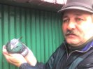 Njastarszy Golab_14